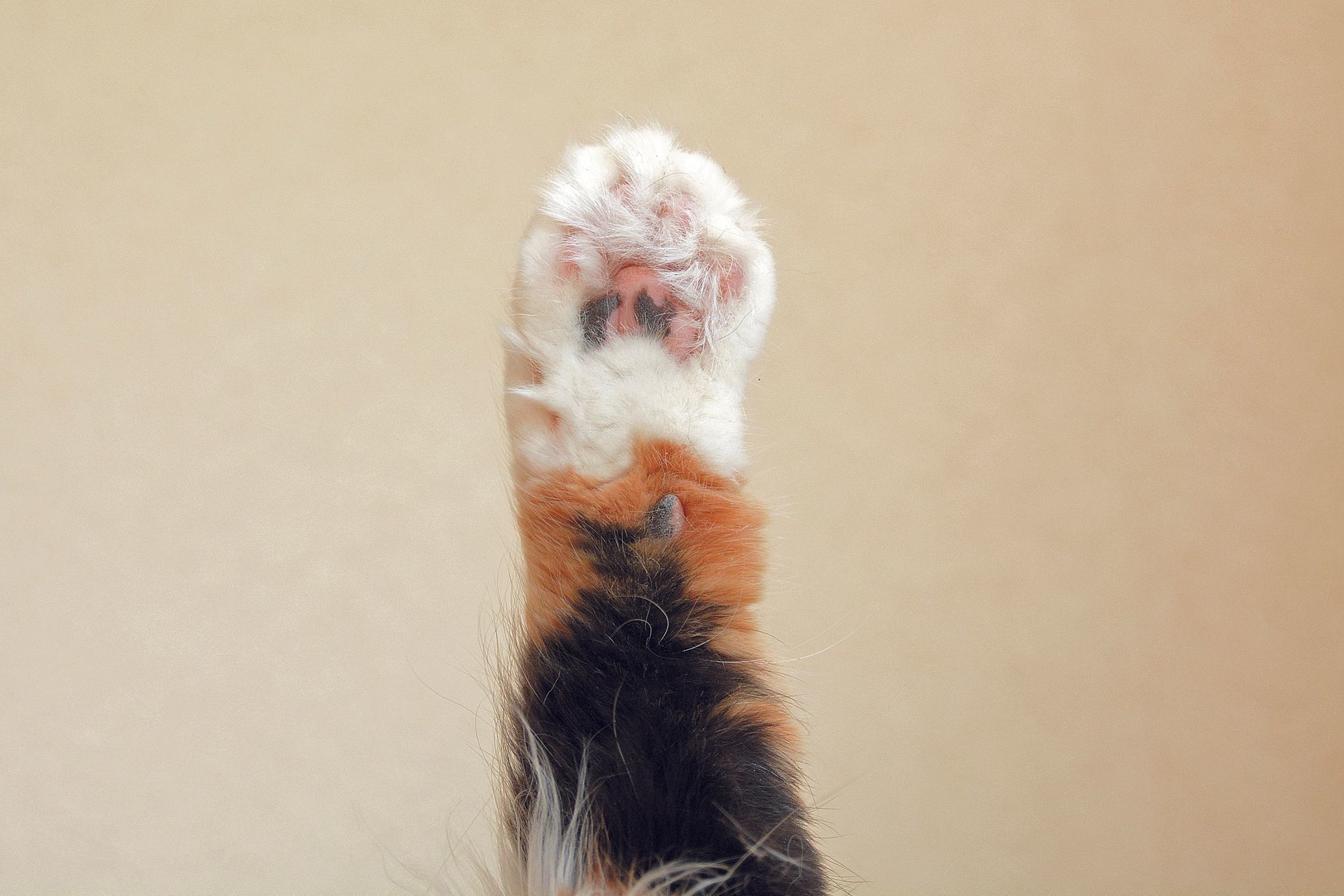 撮影／栗林　愛