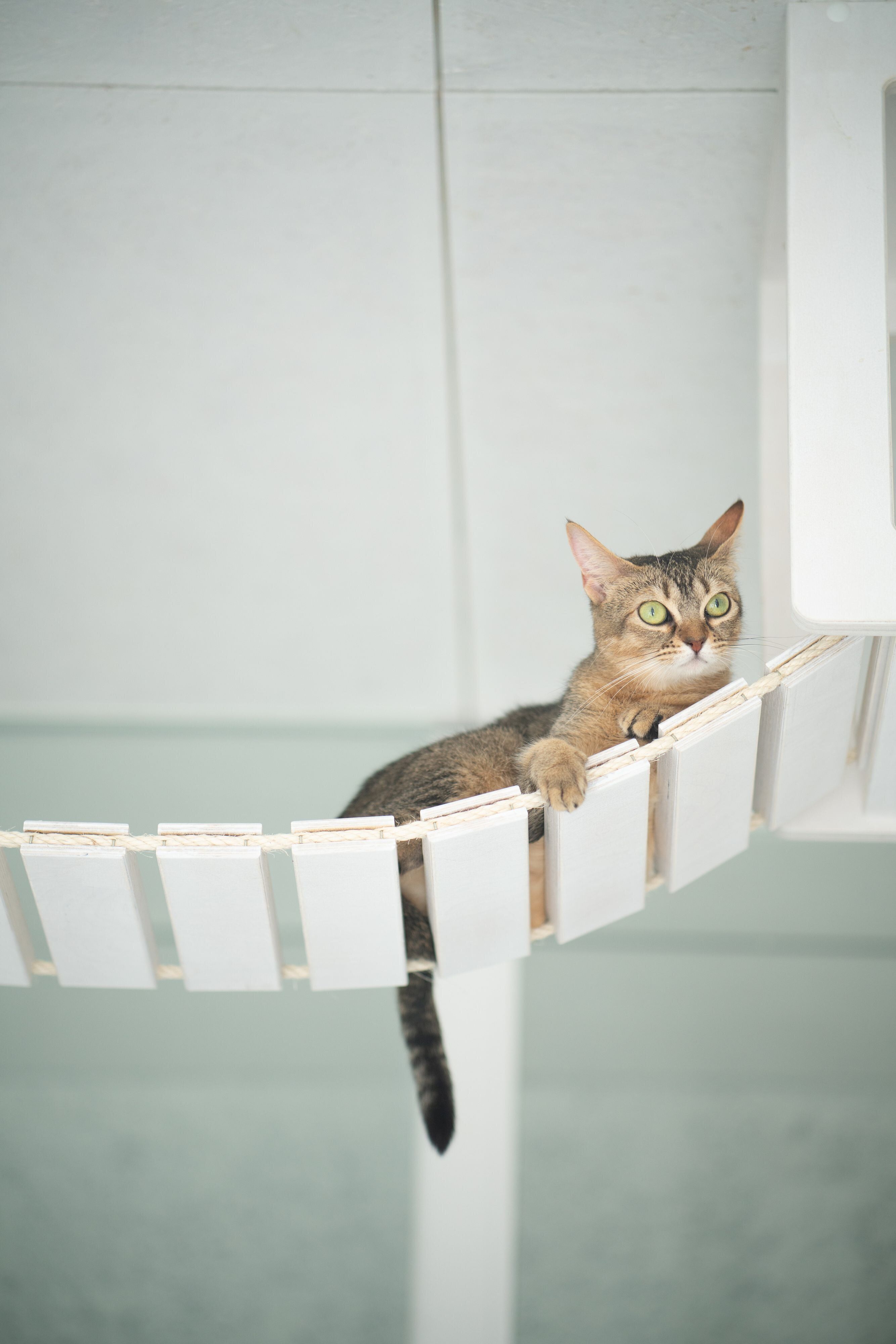 撮影／石原さくら