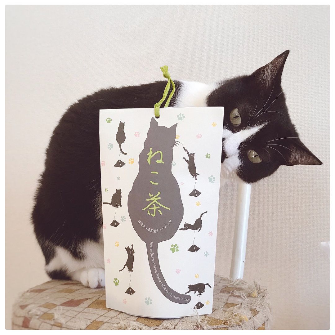 ねこ茶