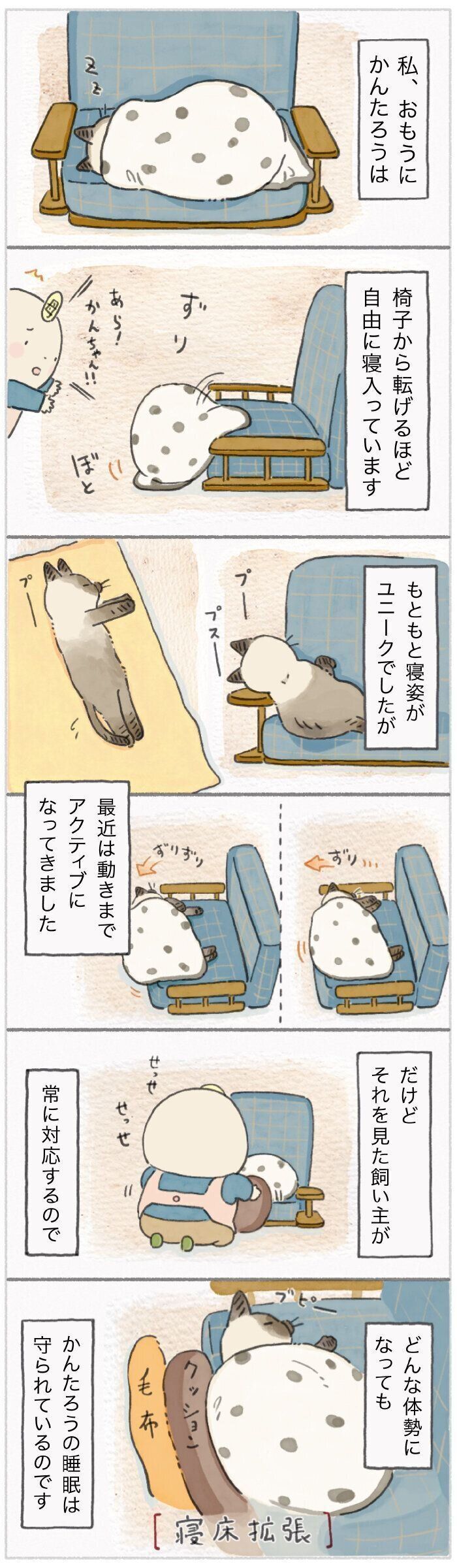 「ねこ連れ草」217話め