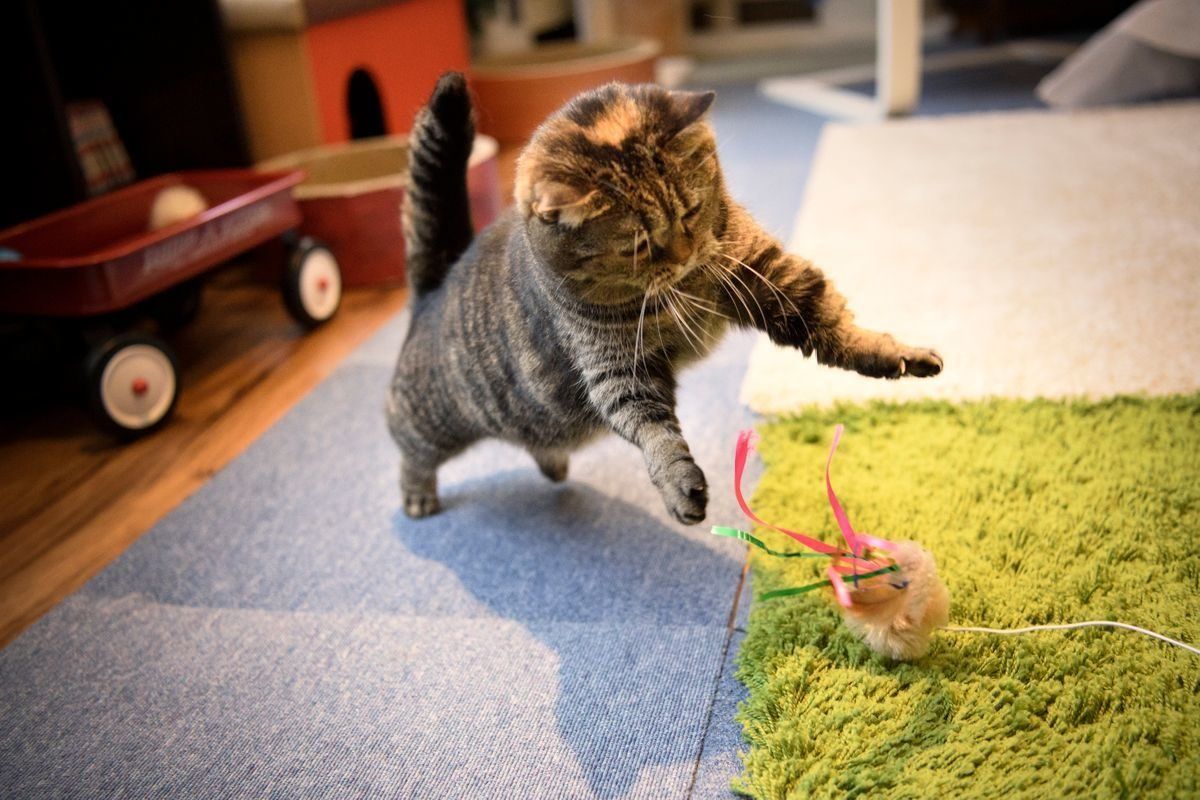 写真／Akimasa Harada