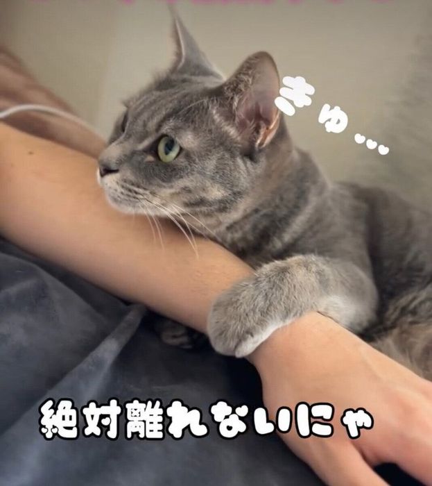 ご家族のことが好きすぎるみりんちゃん