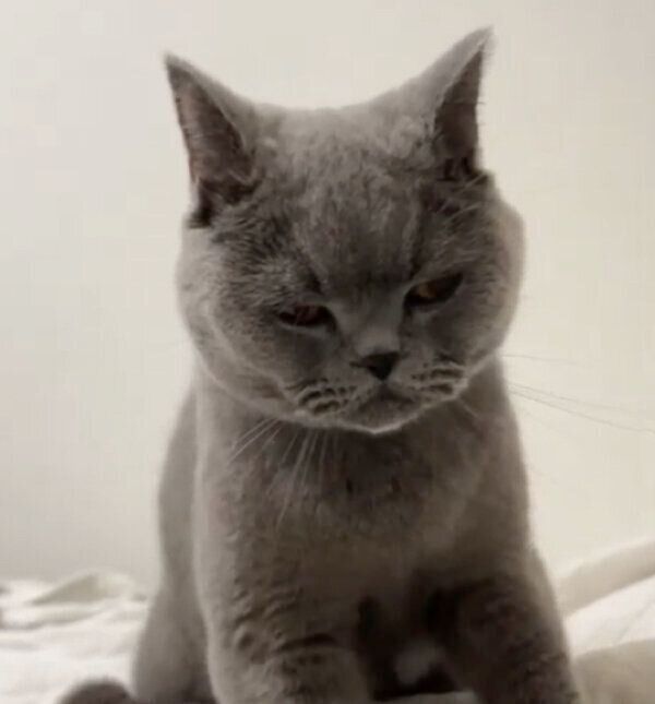 フミフミするトロくん