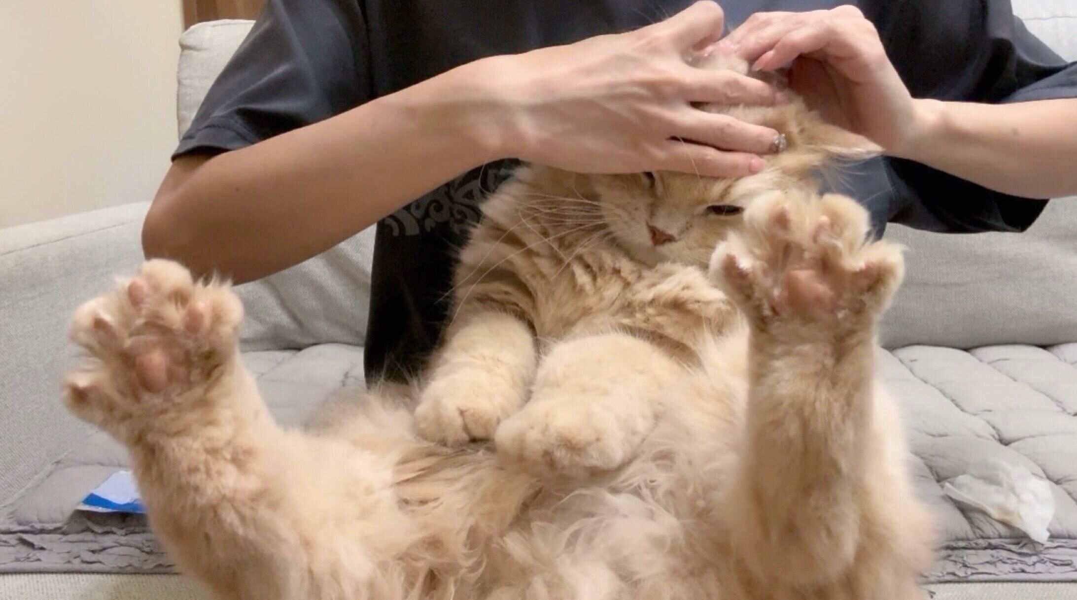 耳掃除中のつきみくん