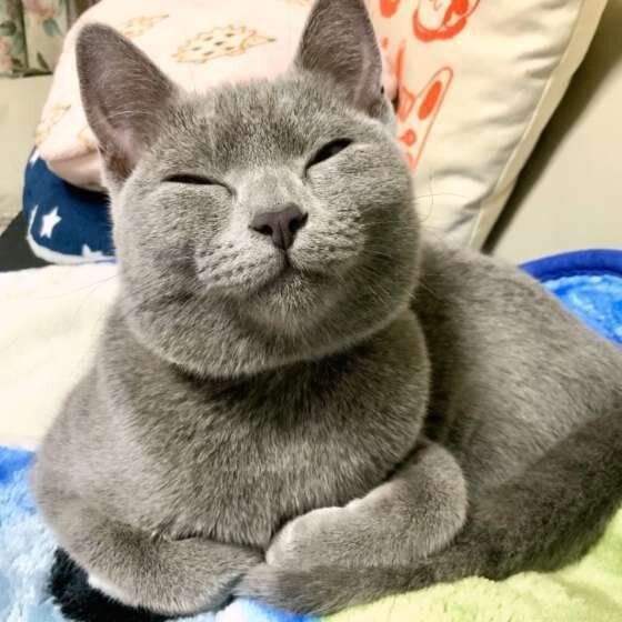 微笑むシャルトリュー