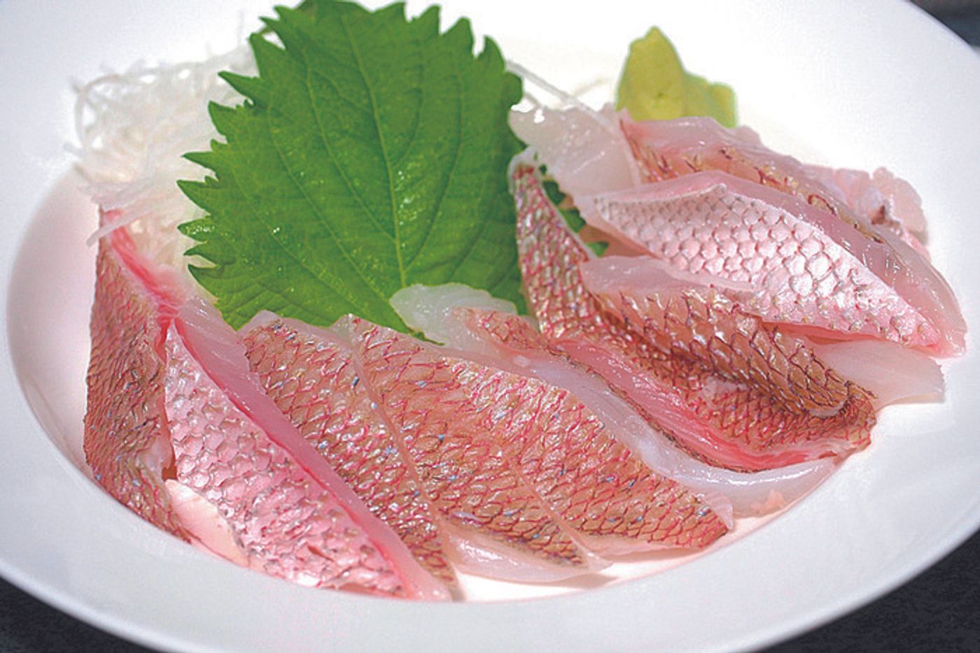 この魚介類 海藻 猫に与えてok Ng 猫が食べてもいい 食べてはいけない魚介類 ねこのきもちweb Magazine この魚介類 海藻 猫に与えてok Ng 猫が食べてもいい 食べてはいけない魚介類 ねこのきもちweb Magazine