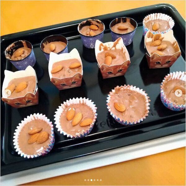 ダイソーの猫グッズ