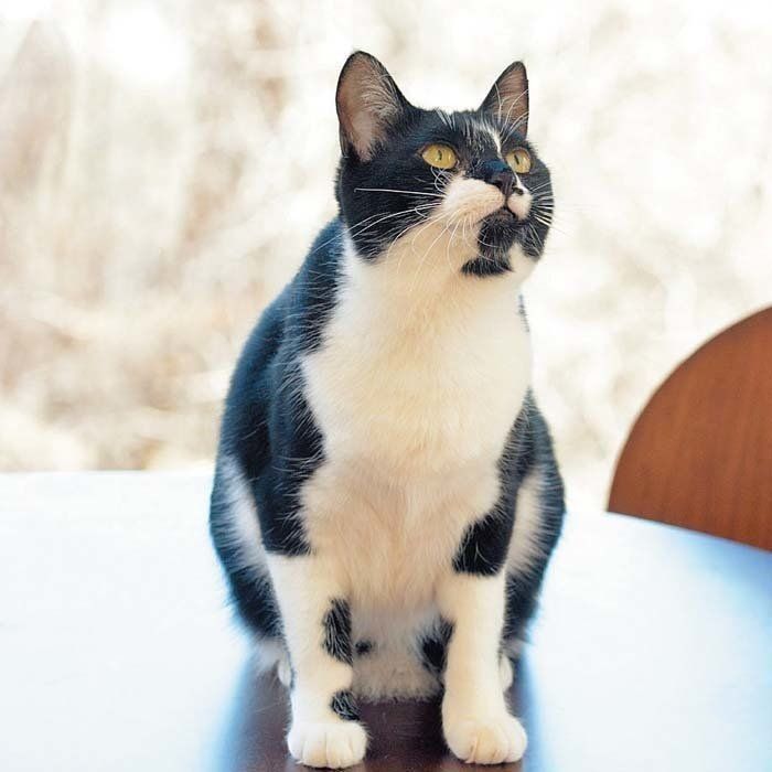 撮影／栗林　愛