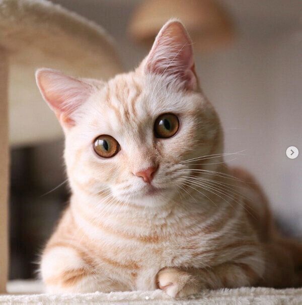 見つめるナツちゃん