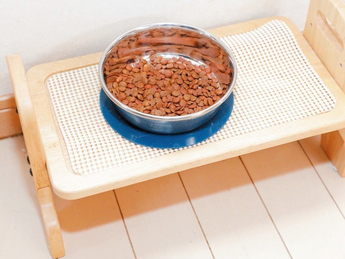 撮影／後藤さくら