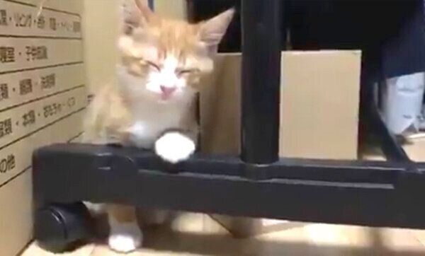 電池切れするいなりくん