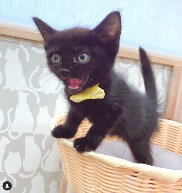 出会った頃の空ちゃん