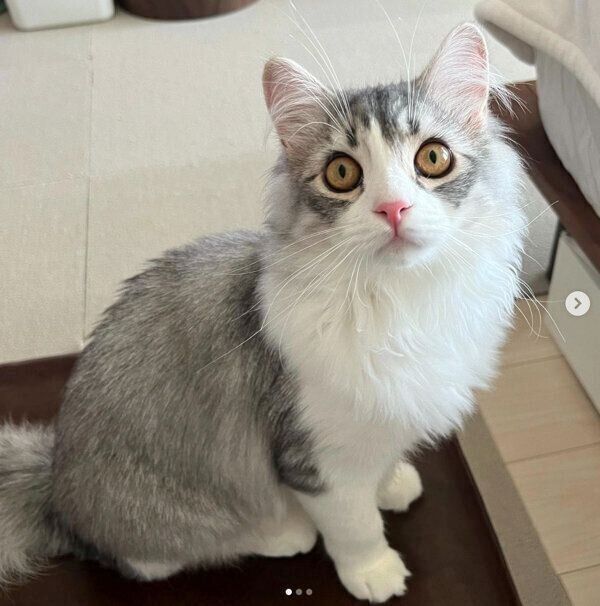 見つめる万次郎くん