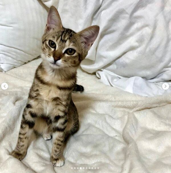 見つめるつむぎちゃん