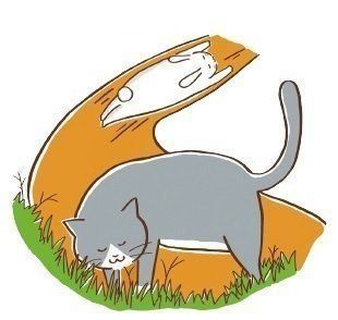 イラスト／モリヤリョウコ