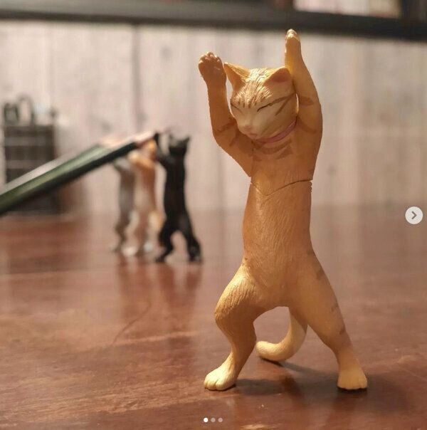 RUKURUKU様お取り置きです。Ｎｏ．374 レジン 猫 ペンダント マーカー 楽天市場】【公式】ナインマーケ マトリョーシカ 猫 (NEIN MARKE