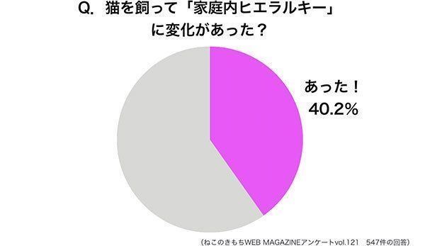グラフ：猫を飼って「家庭内ヒエラルキー」に変化があった？