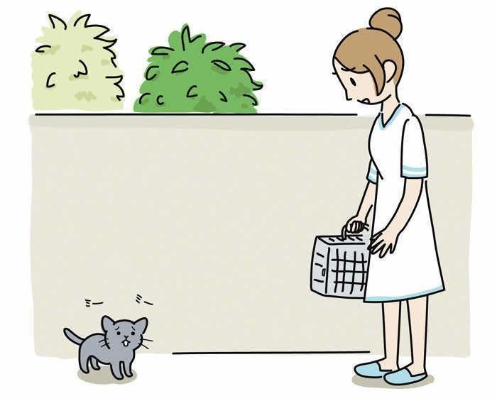 子猫と看護師さん