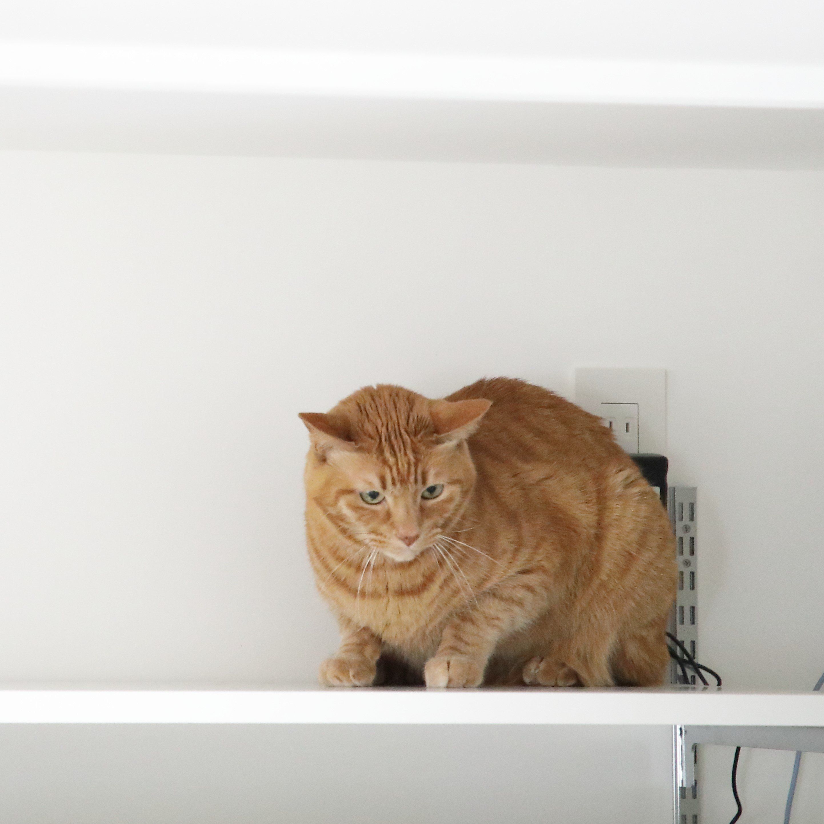 撮影／尾﨑たまき