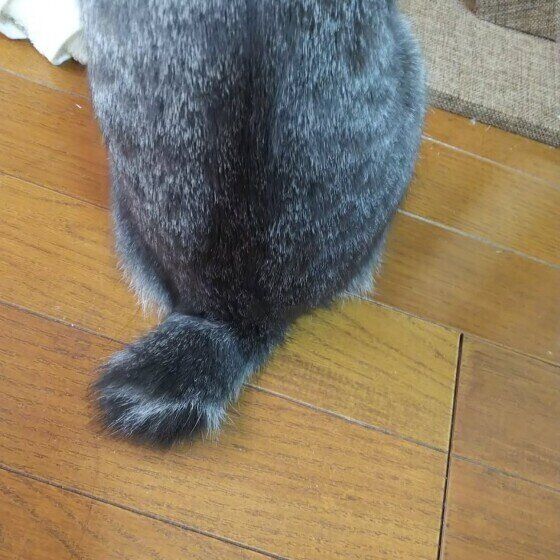 床に座るMIXの女の子