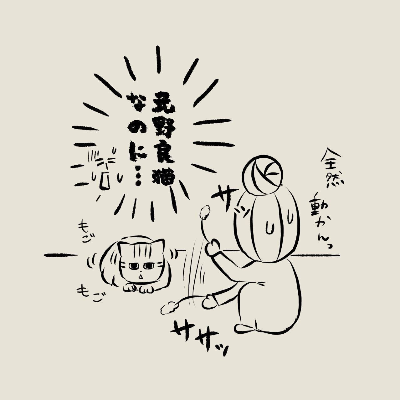 元野良猫から野生の本能を感じられない ８歳の息子から言われた衝撃の言葉とは 連載 交通事故にあった猫を拾いました 72 ねこのきもちweb Magazine