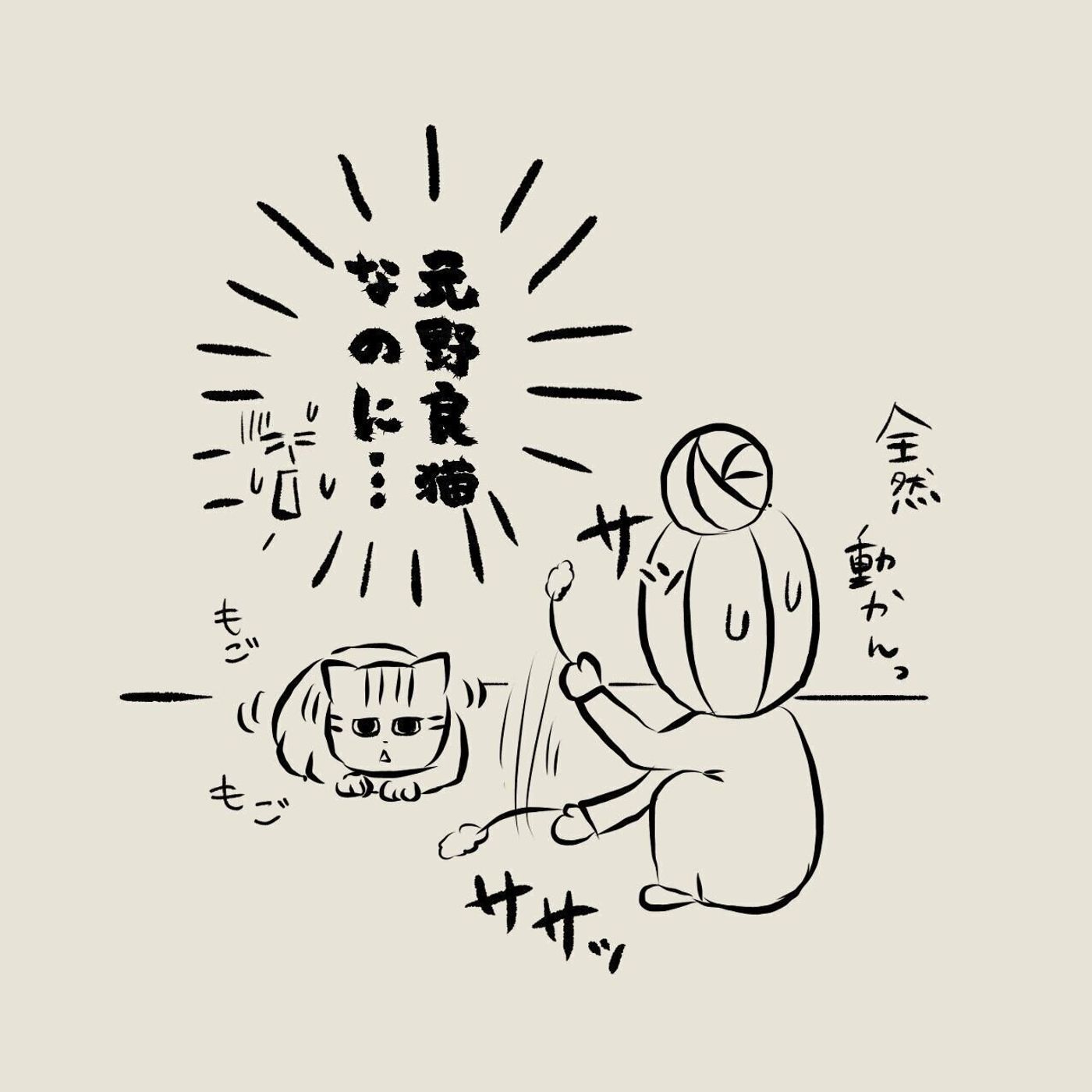 元野良猫から野生の本能を感じられない 8歳の息子から言われた衝撃の言葉とは 連載 交通事故にあった猫を拾いました 72 ねこのきもちweb Magazine 元野良猫から野生の本能を感じられない 8歳の息子から言われた衝撃の言葉とは 連載 交通事故にあった猫を拾いました 72 ねこのきもちweb Magazine