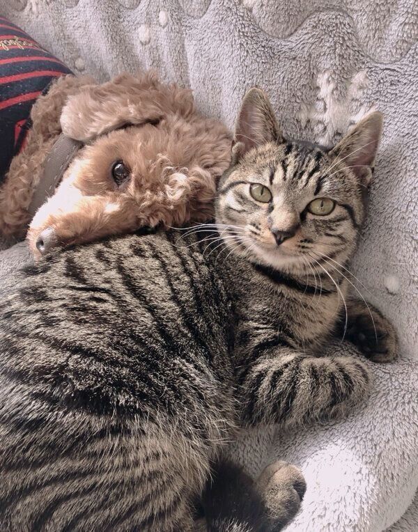 仲良しなアテチちゃんとリクさん