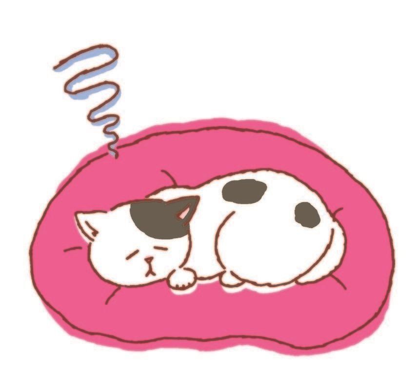 イラスト／フジサワミカ