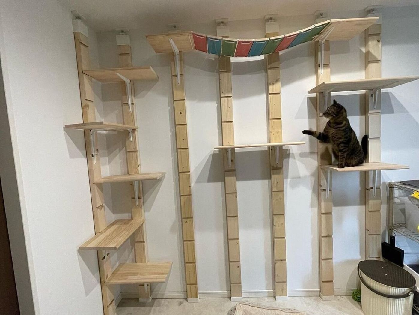 Instagramで見つけたおしゃれな猫との暮らしにある キャットウォーク Diyアイデア ねこのきもちweb Magazine Instagramで見つけたおしゃれな猫との暮らしにある キャットウォーク Diyアイデア ねこのきもちweb Magazine