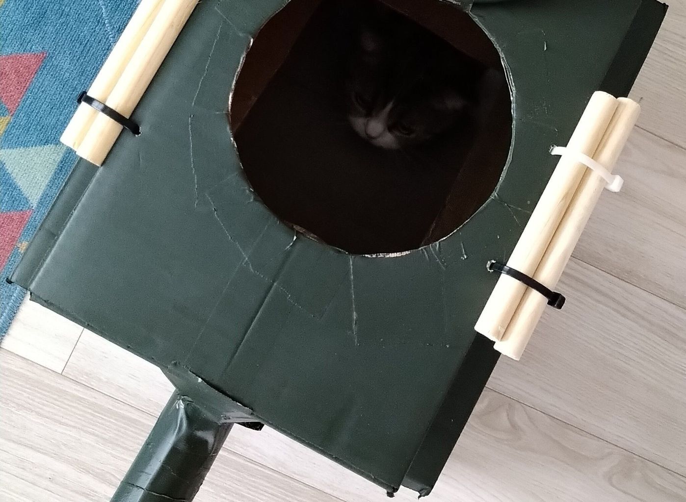 アーミーカラーがかっこいいニャ 段ボールで作る猫戦車 ねこのきもちweb Magazine アーミーカラーがかっこいいニャ 段ボールで作る猫戦車 ねこのきもちweb Magazine