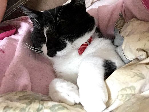 リュックのバランスボール爆破事件