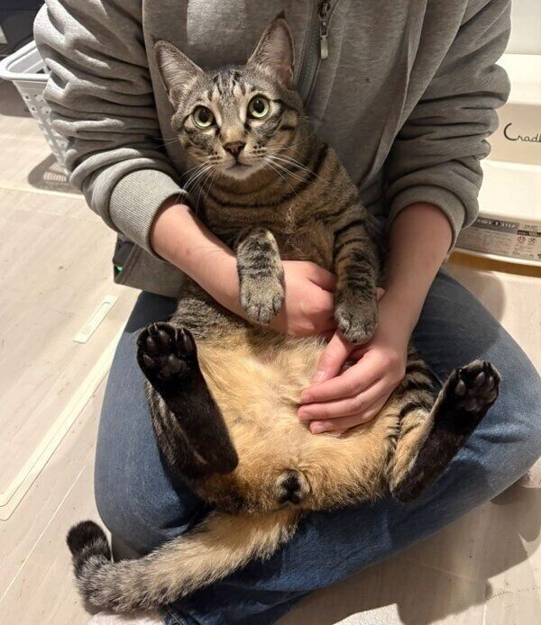 ママさんに甘えるつむぎくん