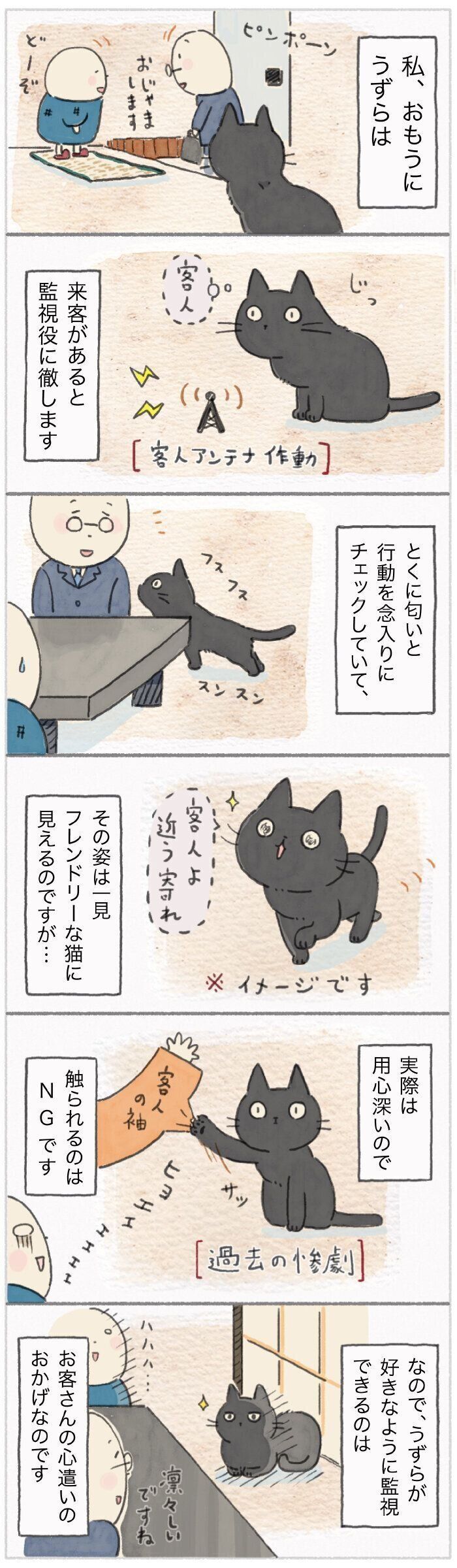 「ねこ連れ草」152話め