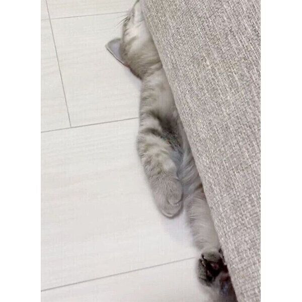 電池切れするひまりちゃん