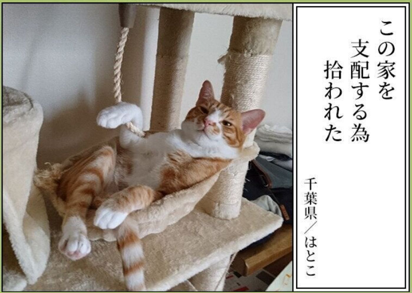 2jpkycf26ba5mm 2jpkycf26ba5mm