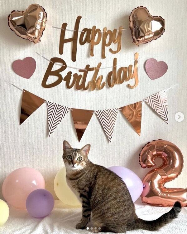 2才になったつむぎちゃん