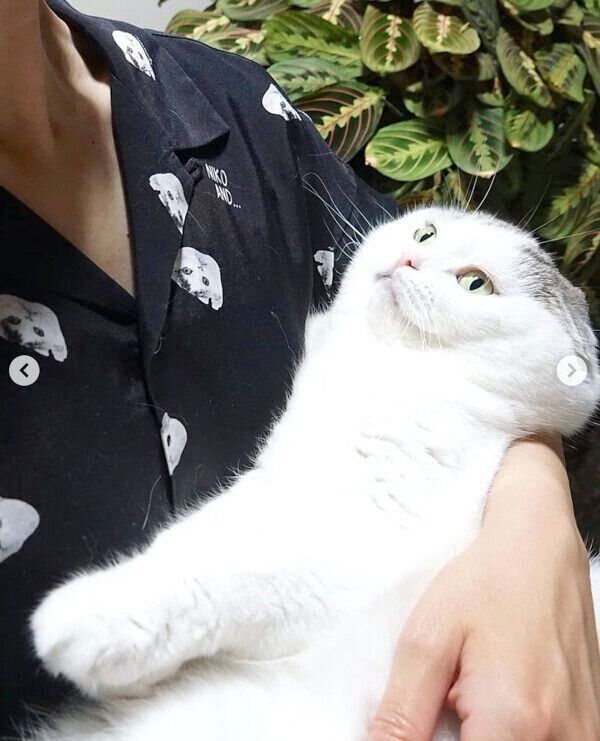 ライくん×「niko and ...」のコラボ商品