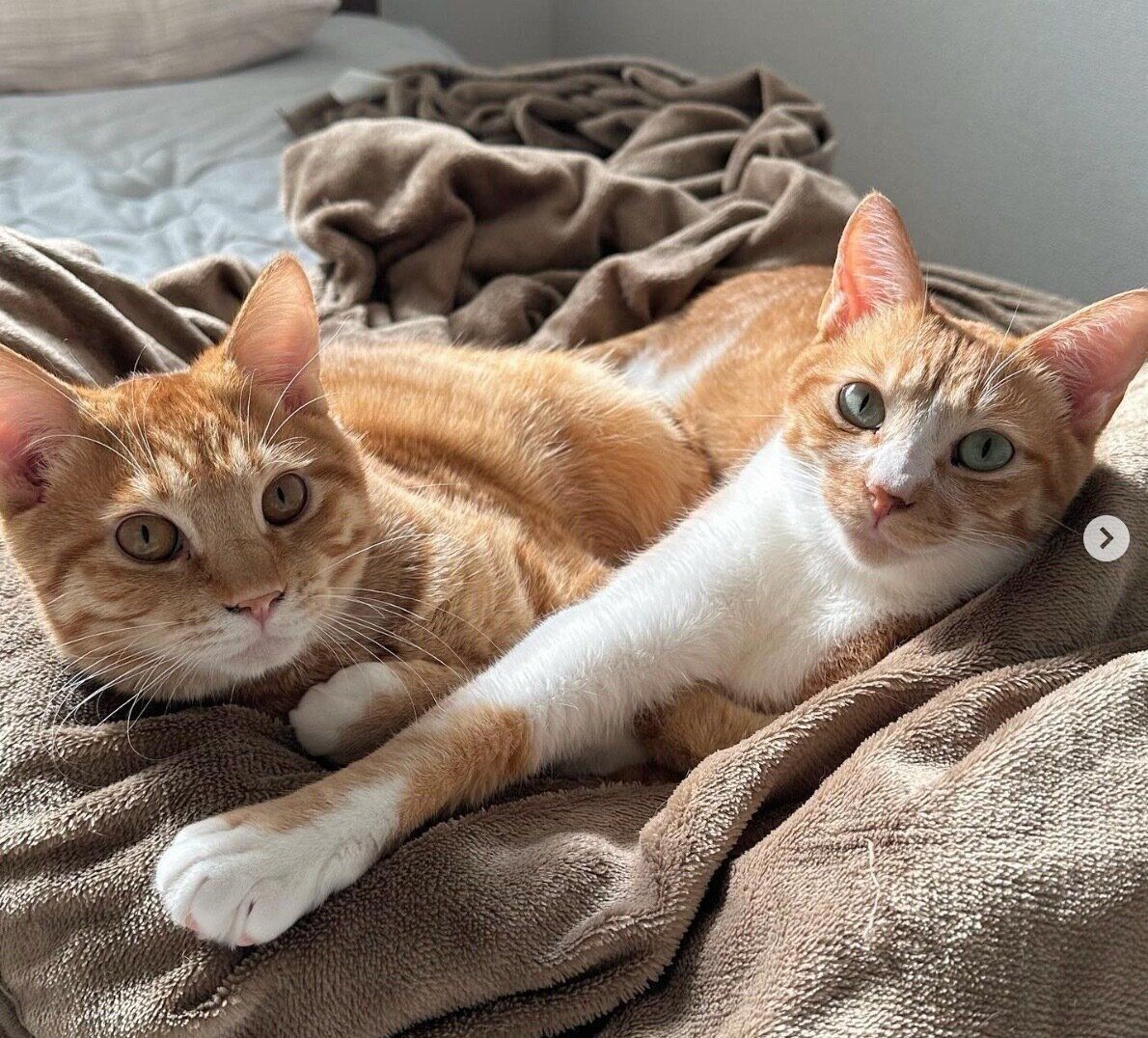 仲良しなうりくん、てとくん