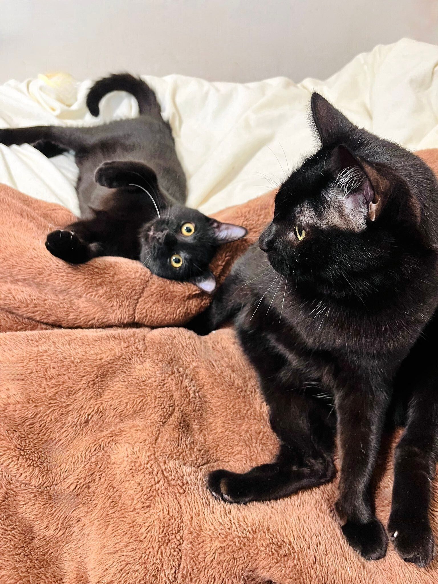 伊吹くんと匠くん