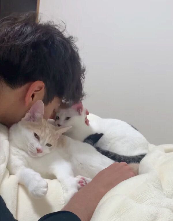 コメちゃんとミソちゃん