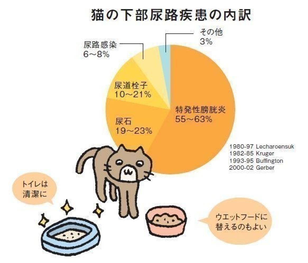 猫の下部尿路疾患とフード選び 症状 予防法 食事療法 ねこのきもちweb Magazine