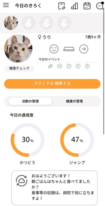 PLUS CYCLEと猫