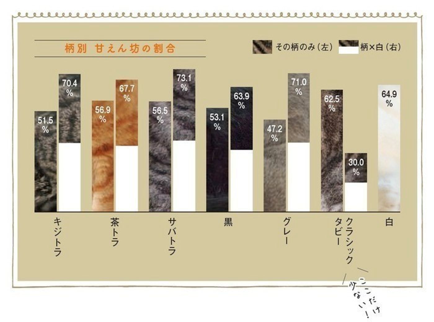 白い毛が交ざった猫はイエネコならでは 性格は甘えん坊って本当 ねこのきもちweb Magazine 白い毛が交ざった猫はイエネコならでは 性格は甘えん坊って本当 ねこのきもちweb Magazine
