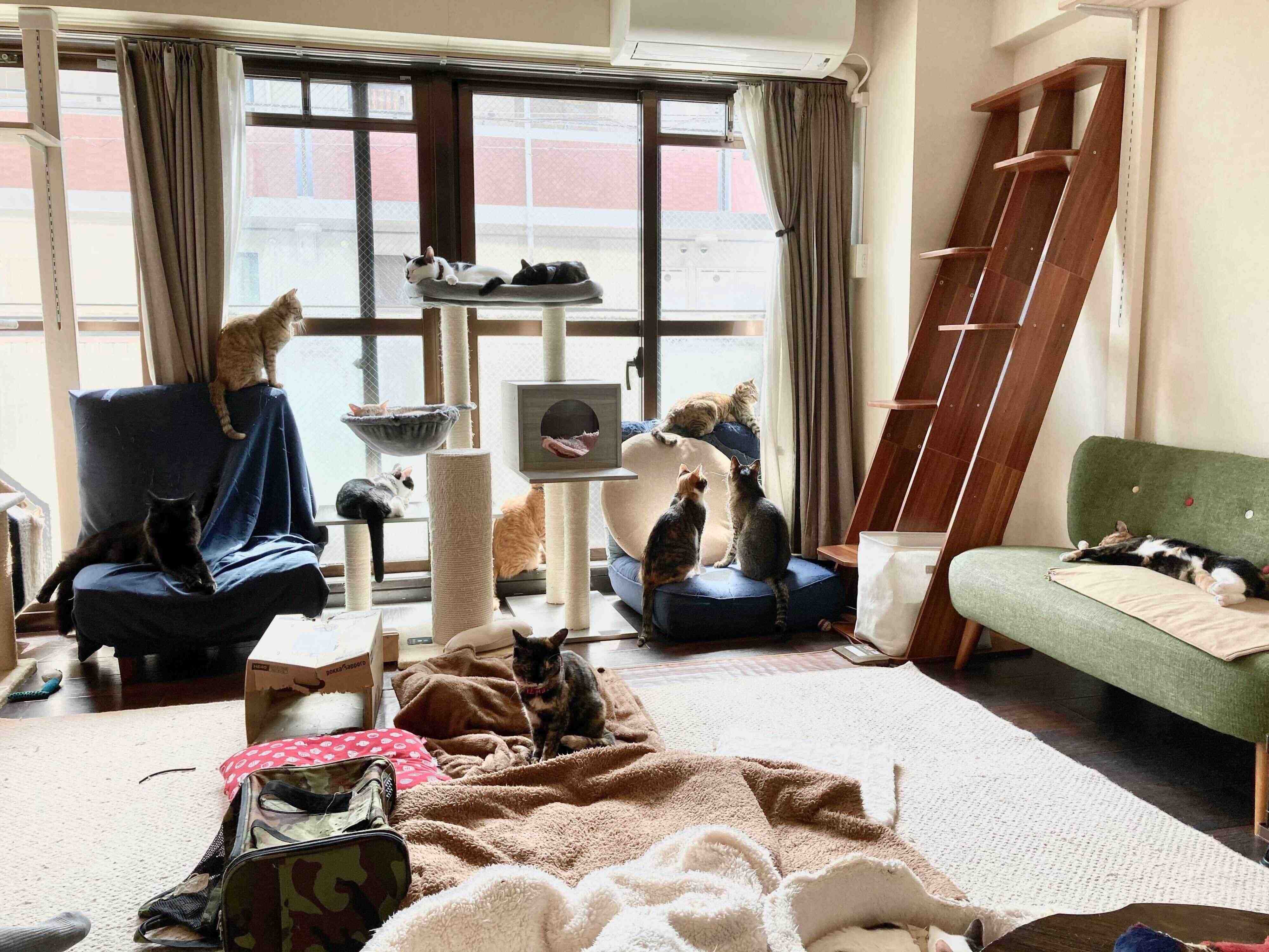 大きな窓と明るい店内