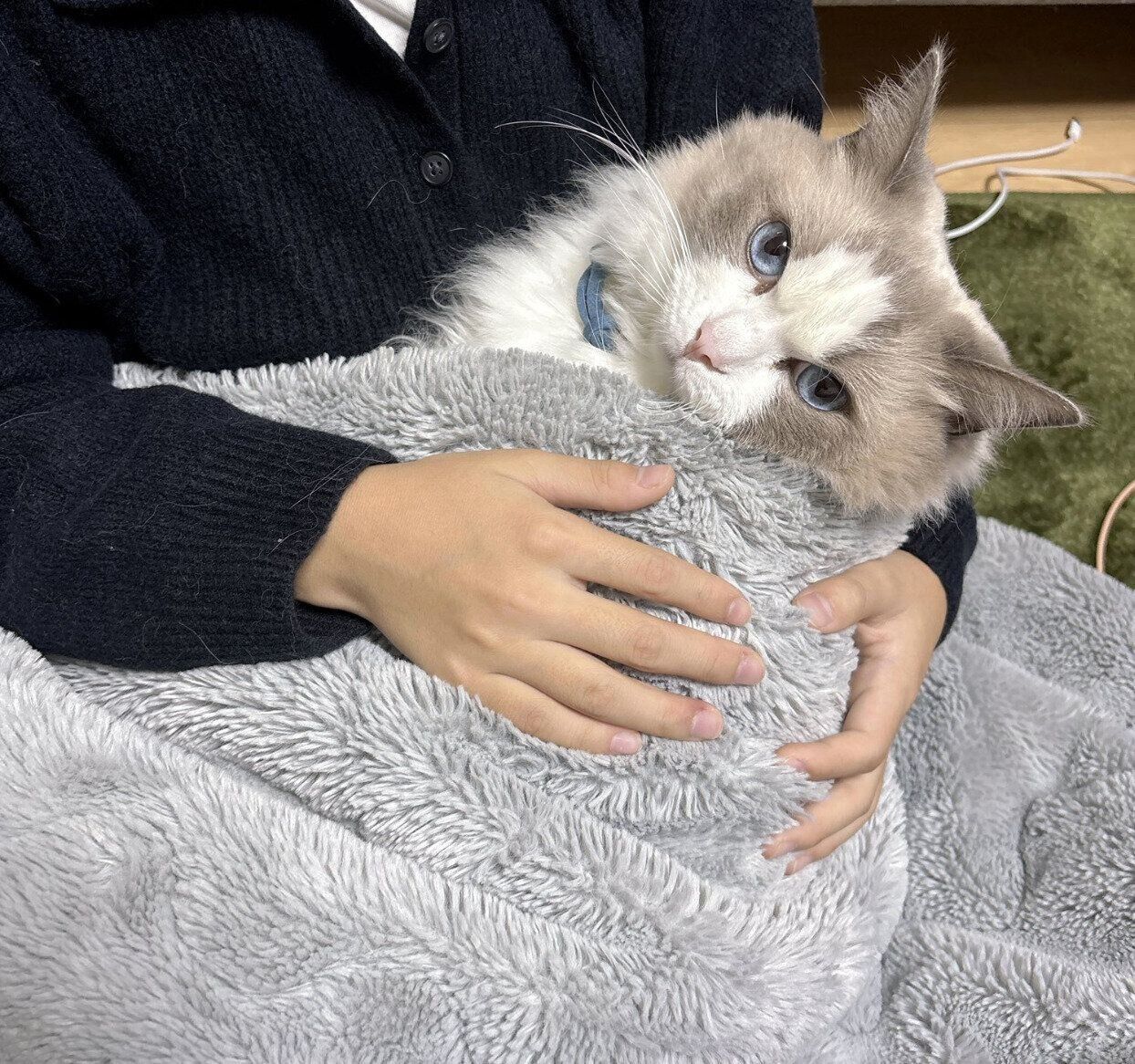 甘えん坊なルカくん