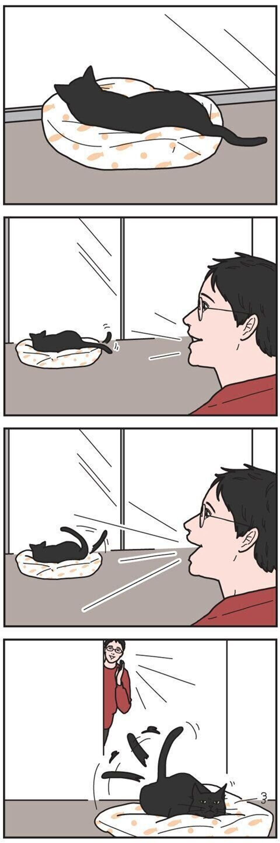 めんどくさいときは尻尾で返事する 男の猫道 ねこのきもちweb Magazine限定話 Vol 78 ねこのきもちweb Magazine めんどくさいときは尻尾で返事する 男の猫道 ねこのきもちweb Magazine限定話 Vol 78 ねこのきもちweb Magazine