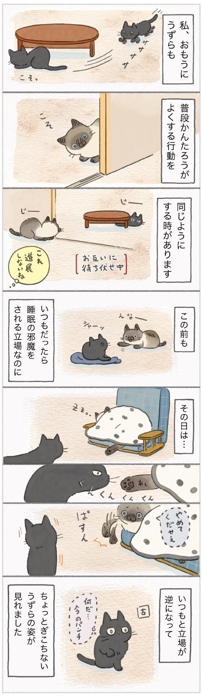 「ねこ連れ草」222話め