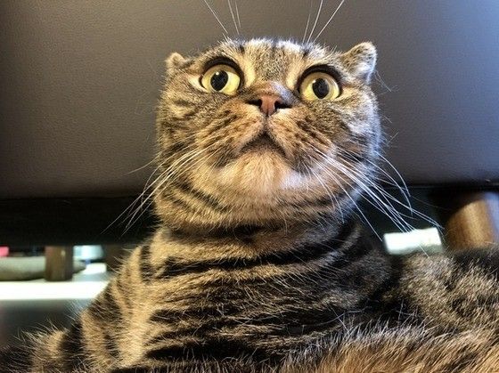 何を見つけたの？