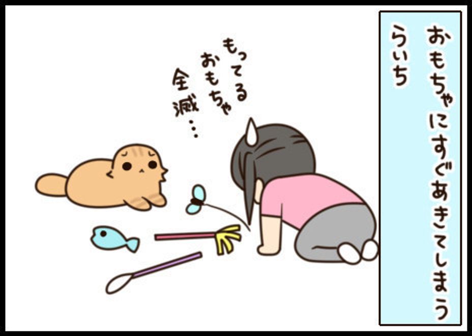 おもちゃにすぐ飽きる愛猫 穴あきボックス2弾目の食いつきはいかに もふもふスコたん Vol 29 ねこのきもちweb Magazine おもちゃにすぐ飽きる愛猫 穴あきボックス2弾目の食いつきはいかに もふもふスコたん Vol 29 ねこのきもちweb Magazine