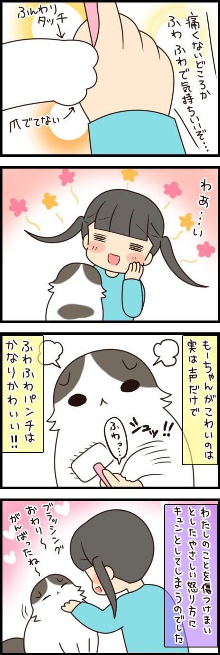 この気づかいは飼い主への愛情 パンチはパンチでも優し い猫パンチ もふもふスコたん Vol 73 ねこのきもちweb Magazine この気づかいは飼い主への愛情 パンチはパンチでも優し い猫パンチ もふもふスコたん Vol 73 ねこのきもちweb Magazine